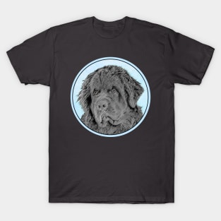 Newfoundland - Black T-Shirt